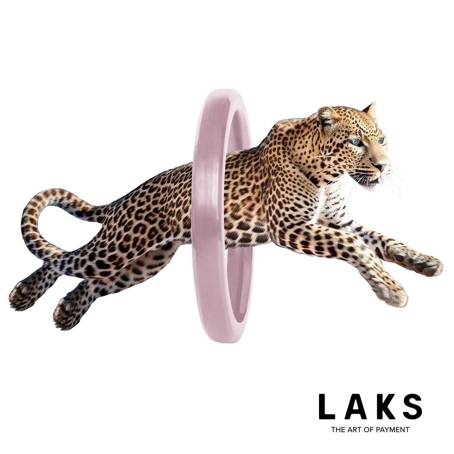LEOPARD No4 - ROSATO