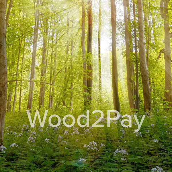 Wood2Pay – Pillow Salzburg Wald als Hintergrund 